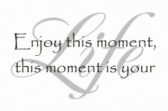 Enjoy this moment this moment is your Life