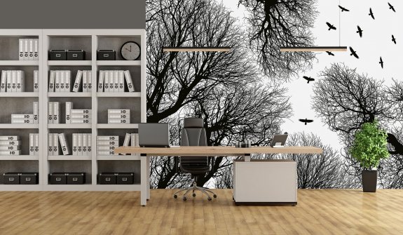 Fototapet på kontor med fåglar och trädkronor i svart och vitt