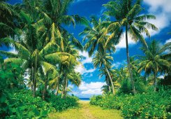 Fondtapet med grön ö med palmer