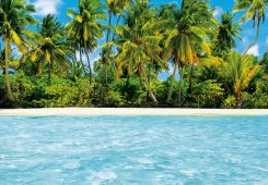 Drömmen om Maldiverna