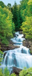 Tapet med skog och vattenfall