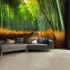 Stig genom skog av bambu