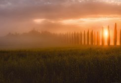 Tuscany Sun Rising