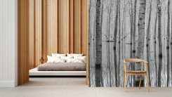 Birch Forest In The Water