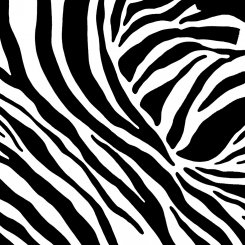 Zoom av dekorplast i svart och vitt zebramönster folie från Line Hogar Deco