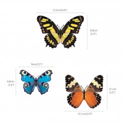 Naturtrogna fjärilar i flera färger
