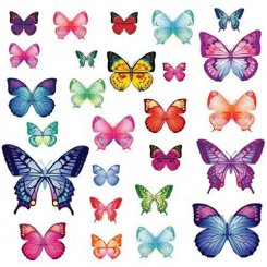 Väggdekor - Fjärilar 26 st fantastiska
