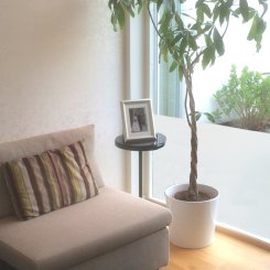 grå, utan klister, frostad, fäster statisk, insynsskydd