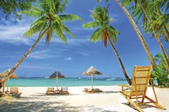 TROPICAL BEACH