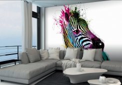 Zebra by Murciano