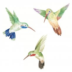 Wallies - Hummingbirds