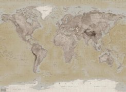 Neutral världskarta
