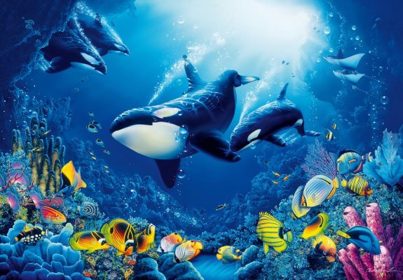 Foto tapet med djur i havet