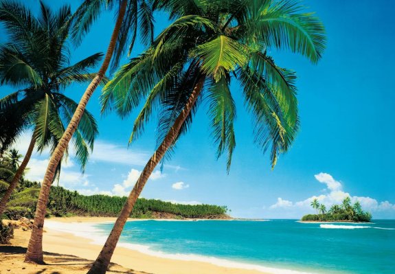 Fototapet tropisk strand med palmer