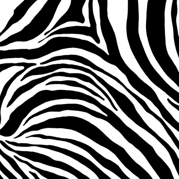 Dekorplast i svart och vitt zebramönster folie från Line Hogar Deco