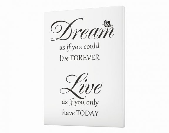 Dream as if you could live forever...