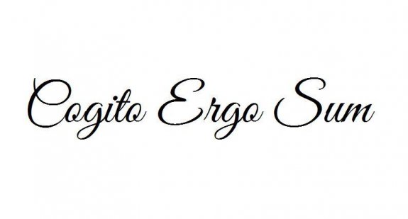 Väggtext - Cogito Ergo Sum