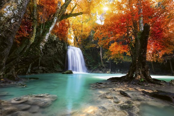 DEEP FOREST WATERFALL