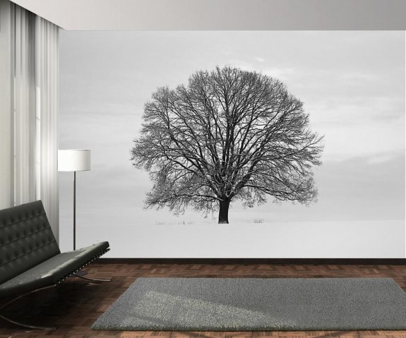 Fototapet (315x232 cm) Vinterträd